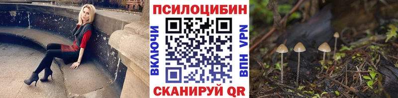 гидра зеркало  Тихвин  Галлюциногенные грибы ЛСД 