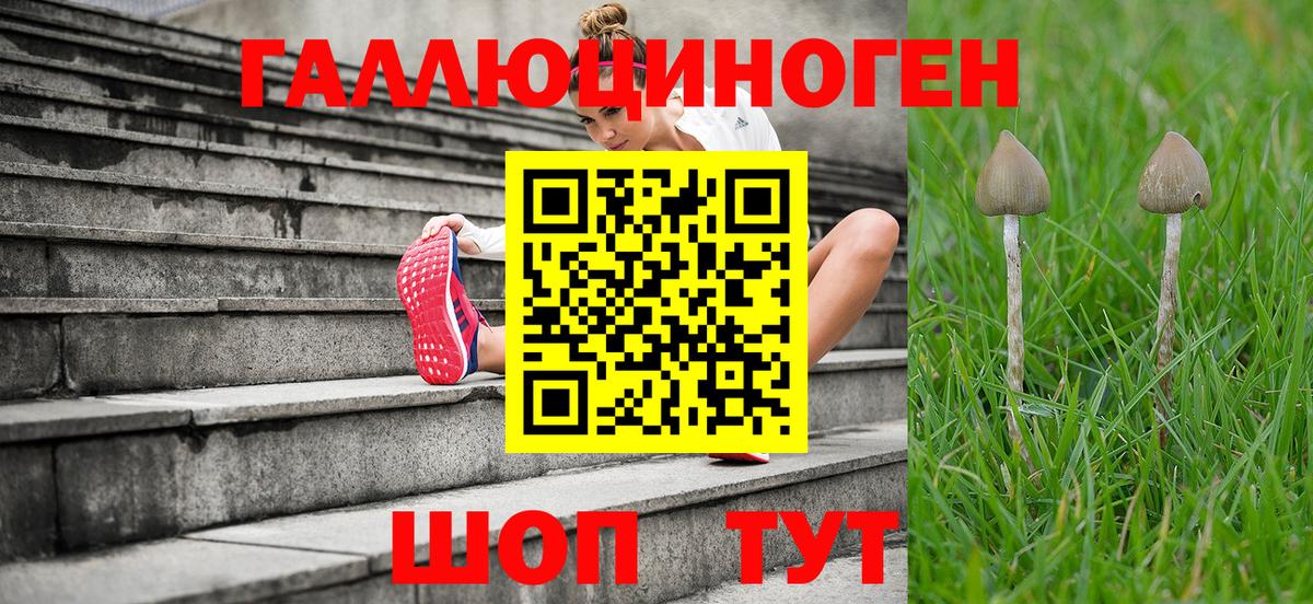 Тихвин  Псилоцибиновые грибы Magic Shrooms  Вход с VPN 